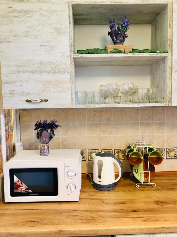 Vintage Apartment 2 Rooms With Balcony Λβιβ Εξωτερικό φωτογραφία